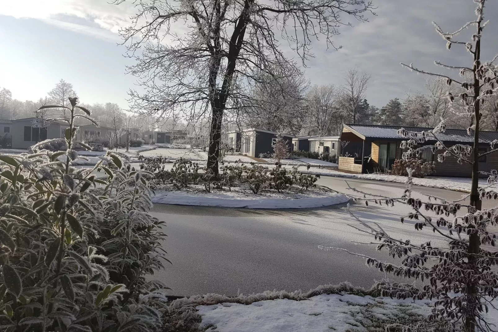 Resort Reestervallei 16-Area winter 1km