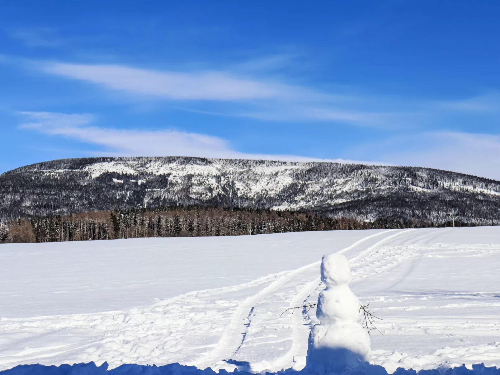 Holiday Hill-Umgebung