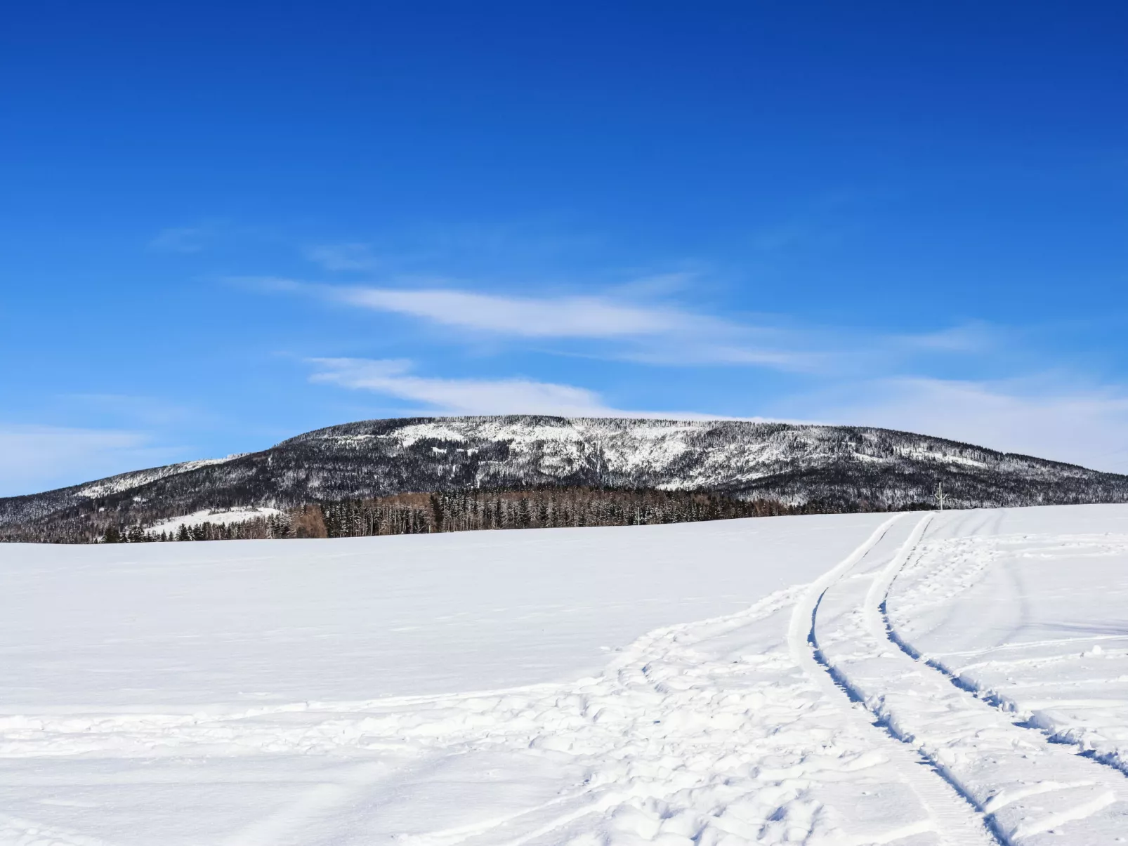 Holiday Hill-Umgebung