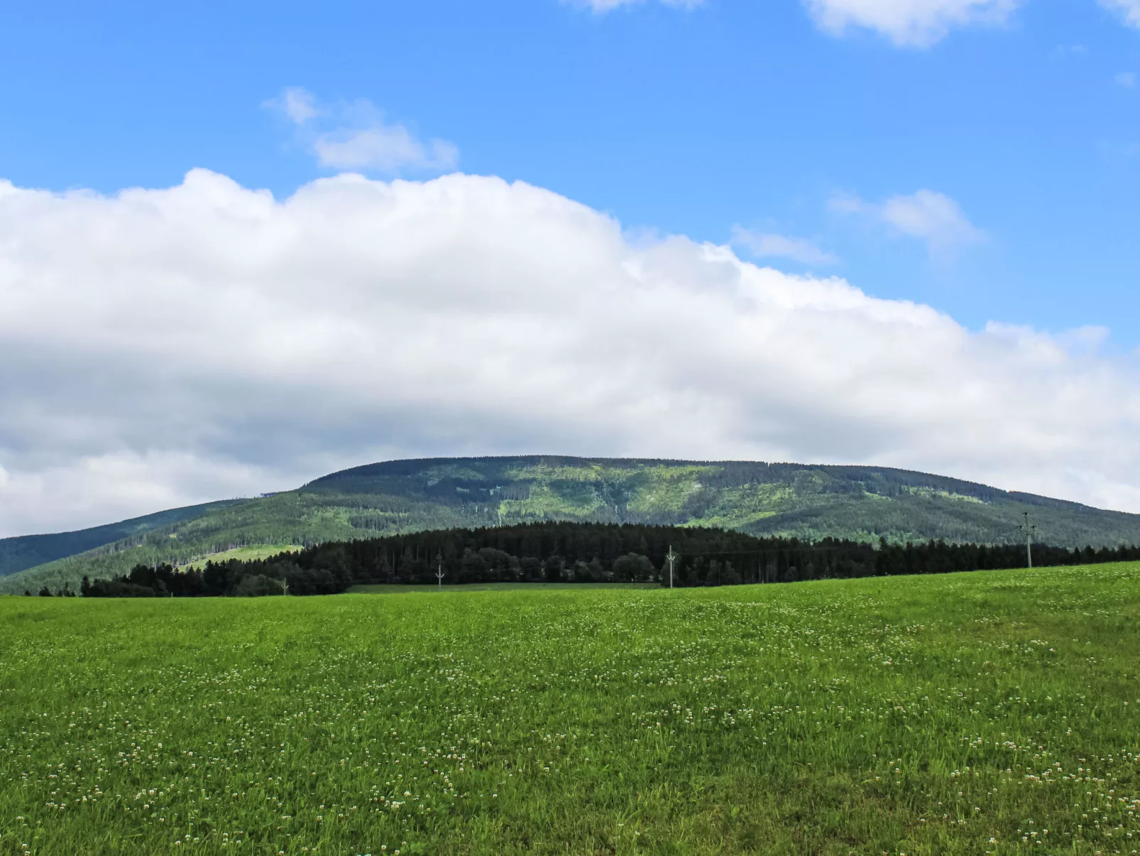 Holiday Hill 41-Umgebung