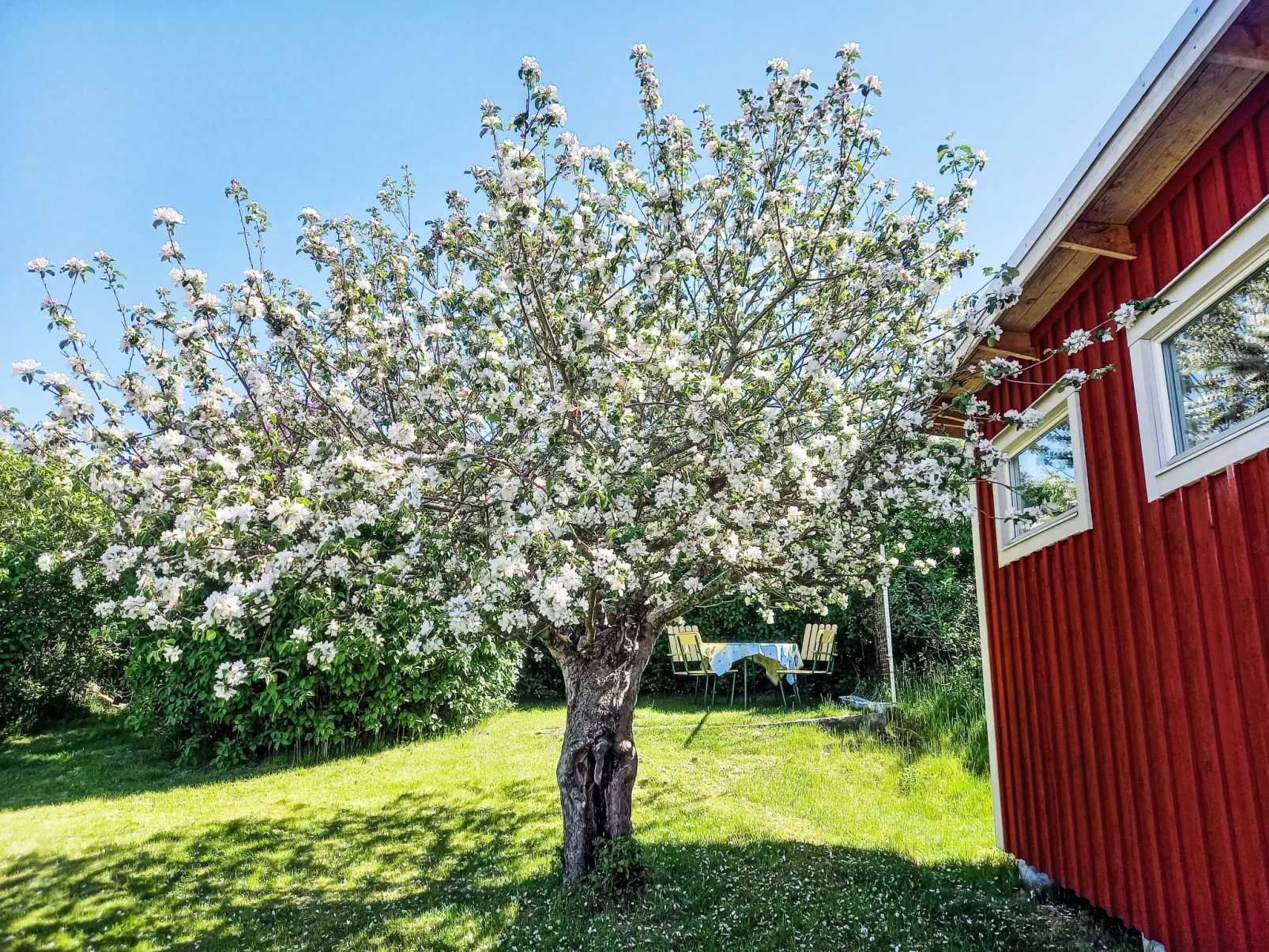 Fjällbacka-Draußen