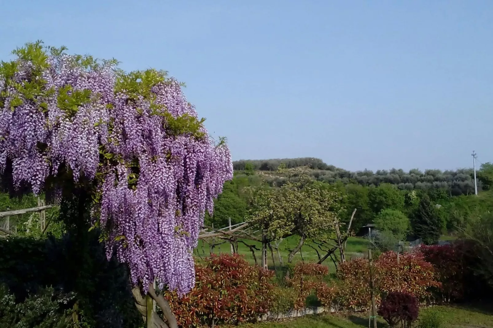 Villetta Pastrengo 3-Gardens summer