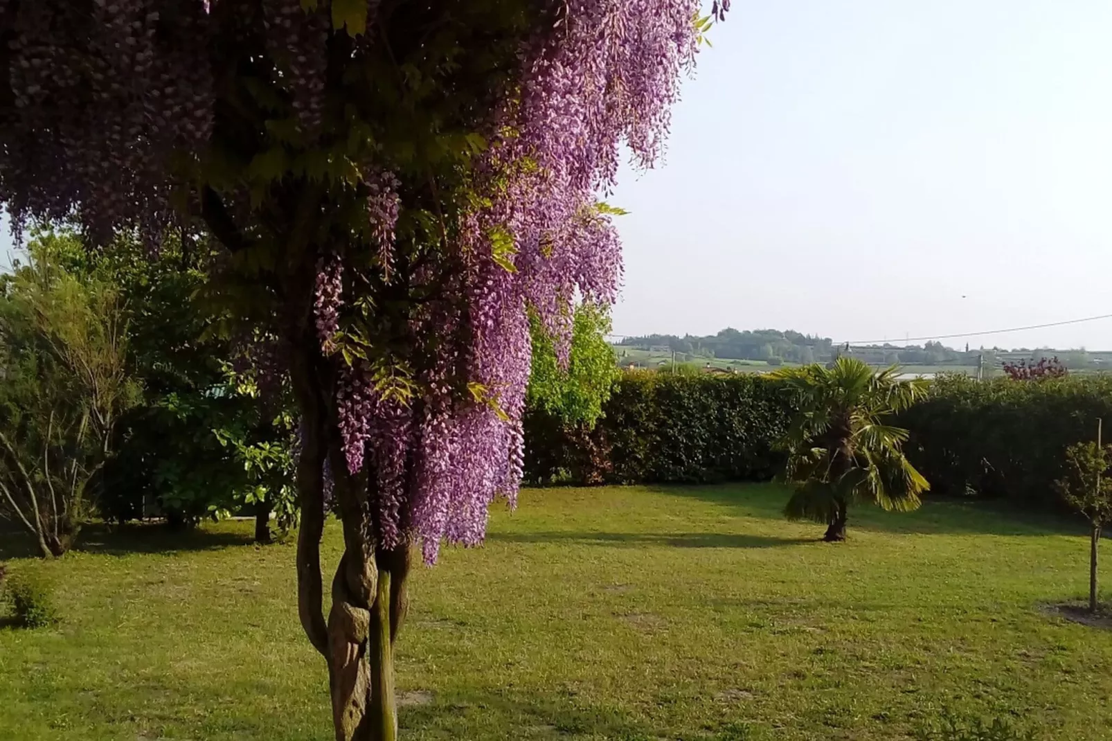 Villetta Pastrengo 3-Gardens summer