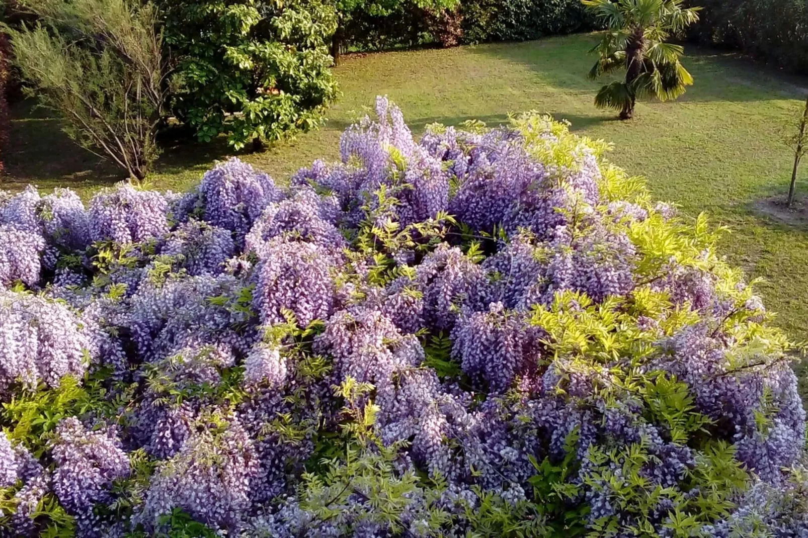 Villetta Pastrengo 3-Gardens summer