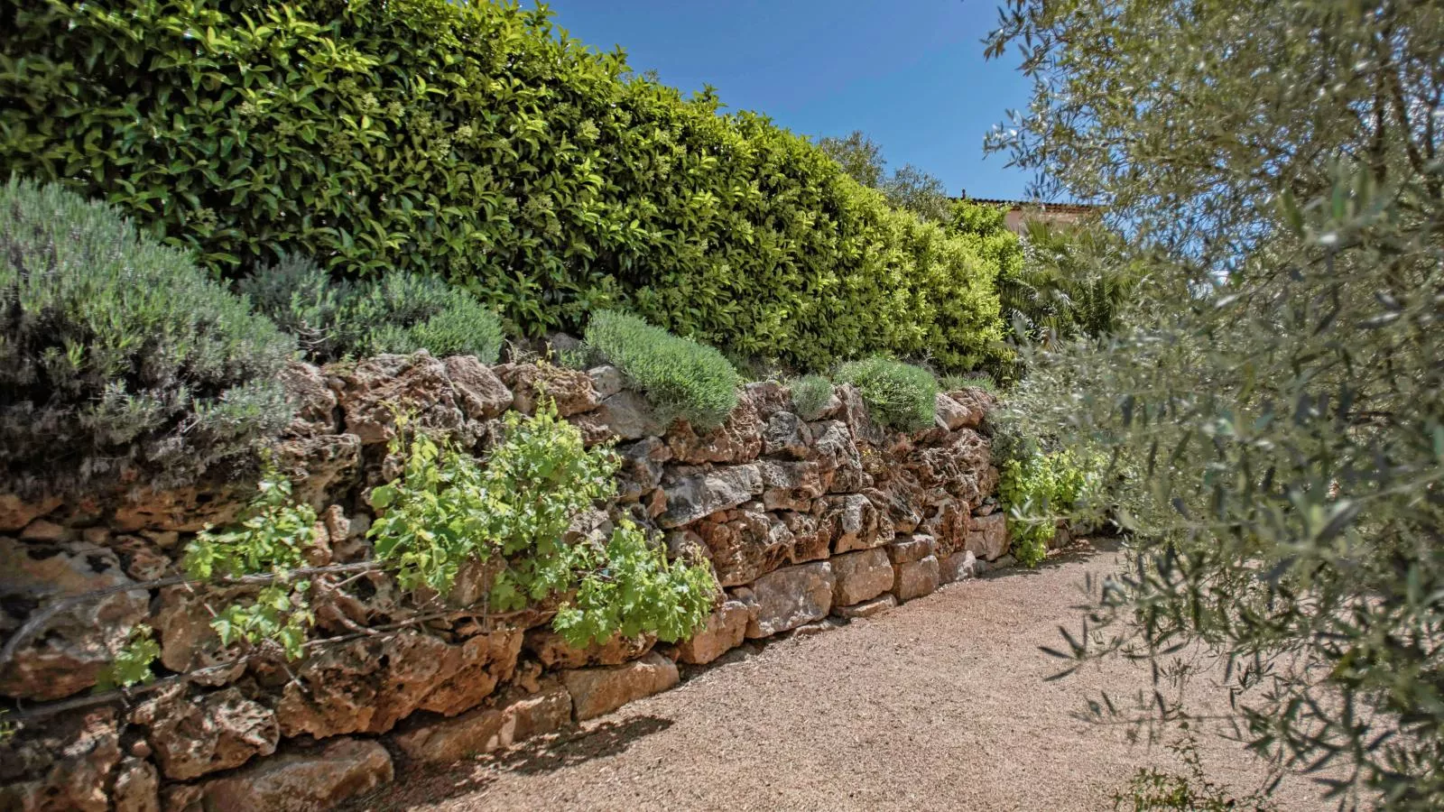 La Parure-Gardens summer