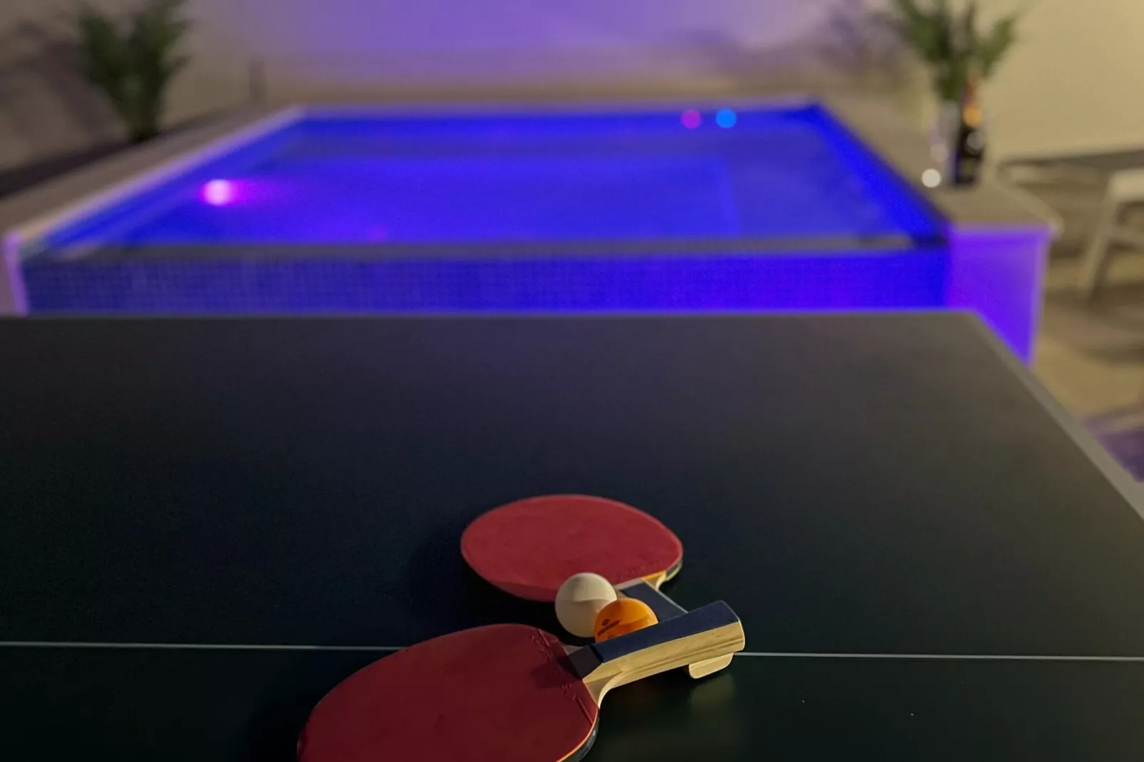 Apartment Marinely-Ambiente