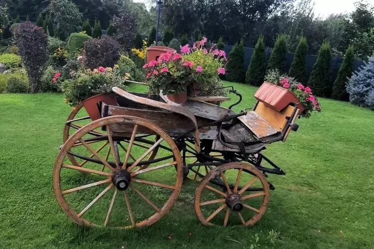 Dom z ogrodem i stawem w Stepnicy-Gardens summer