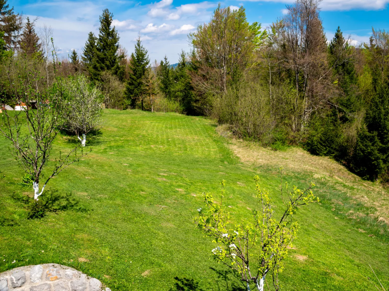Relax & Play-Outside