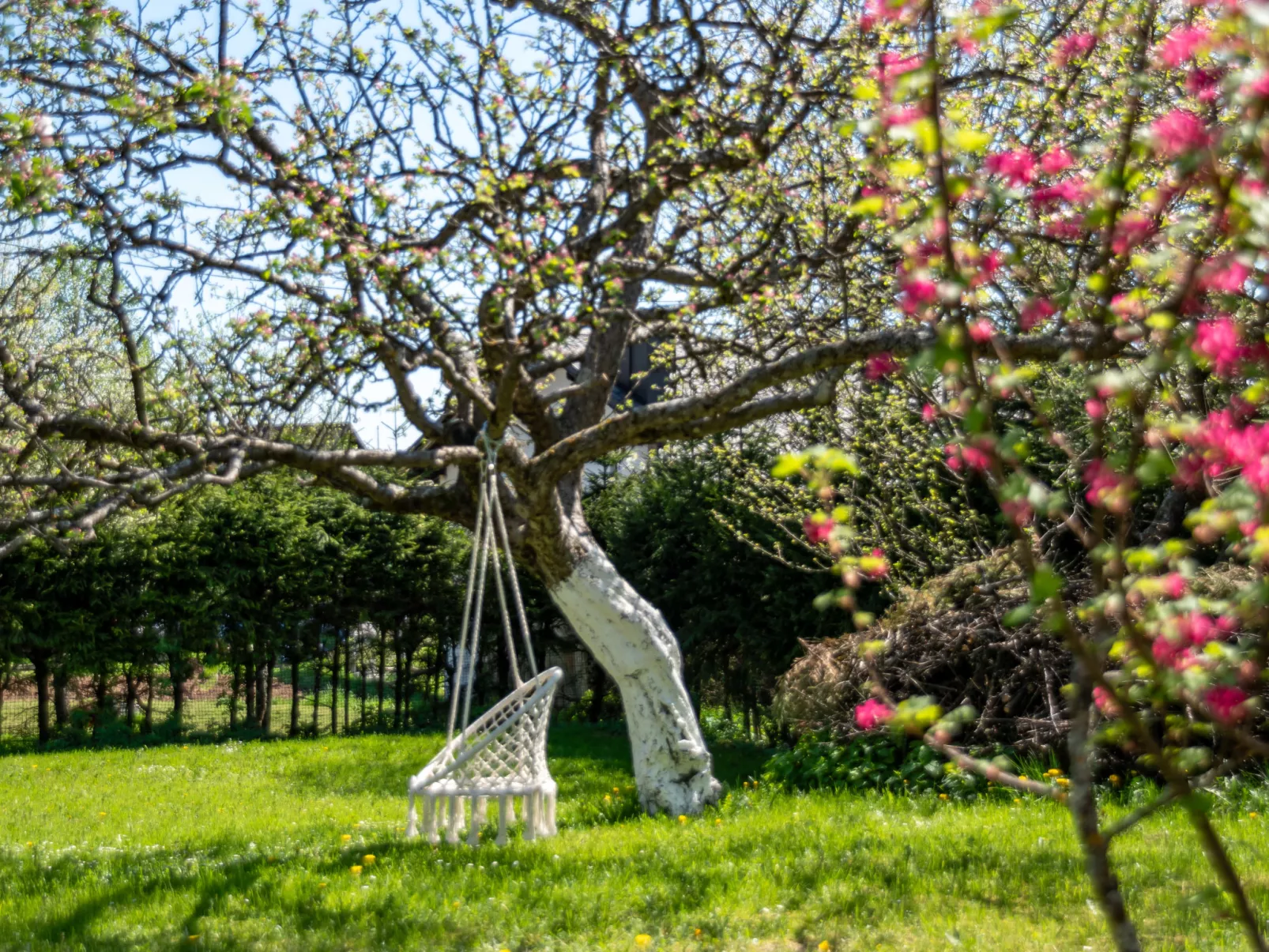 Relax & Play-Outside