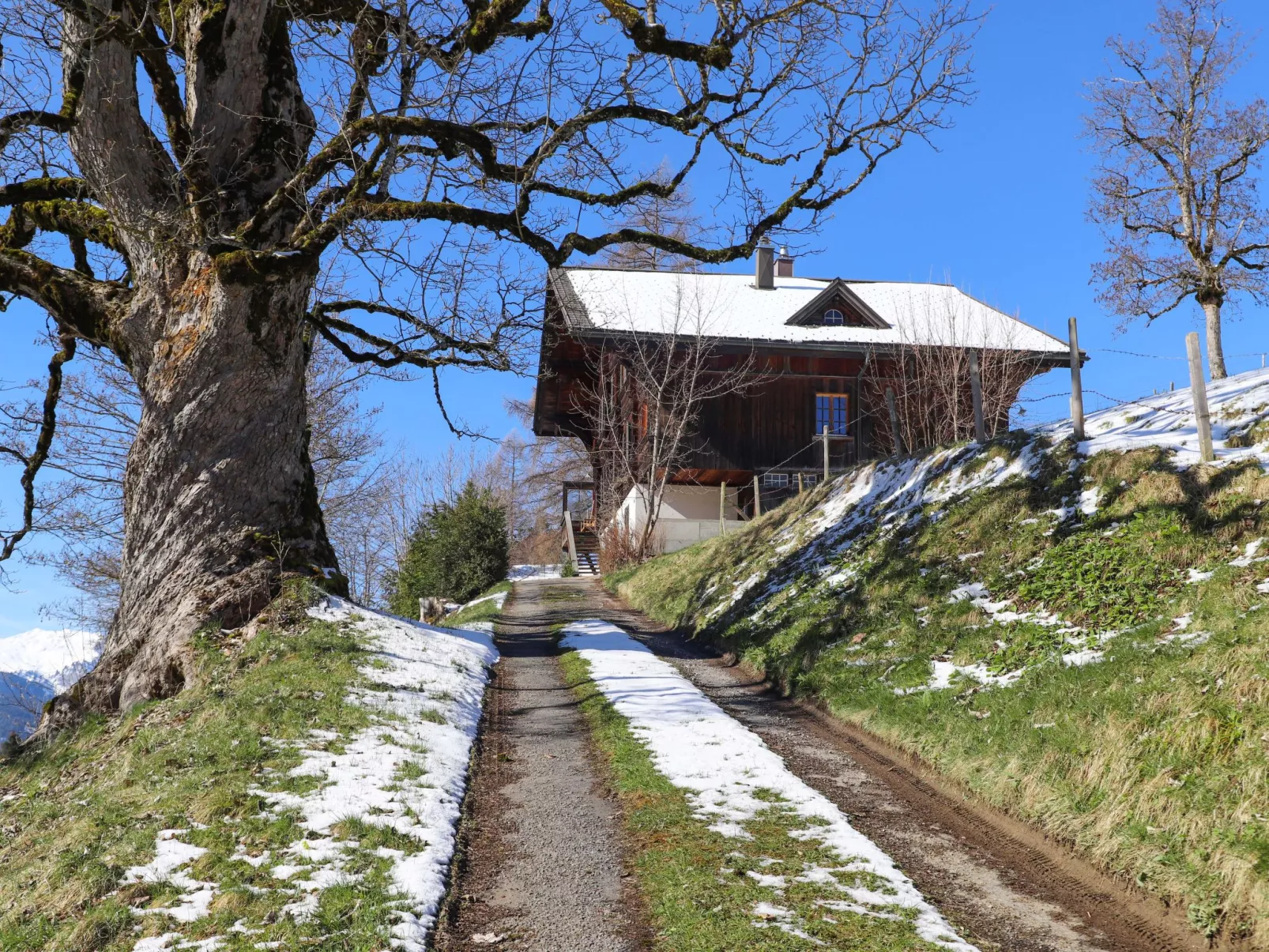 Chalet Ahorni-Outside