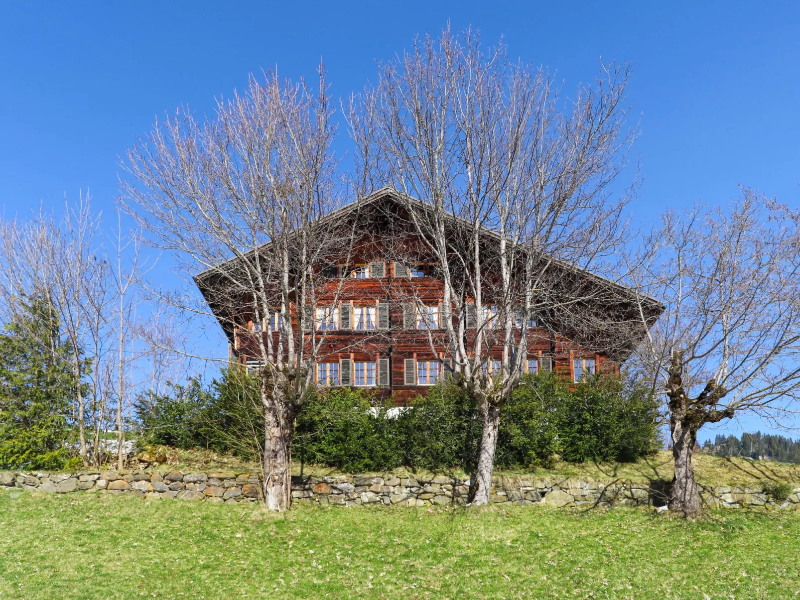 Chalet Ahorni-Outside
