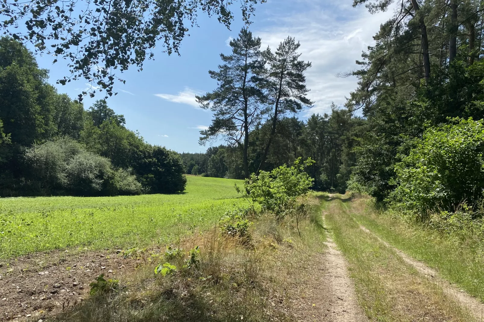 Ferienwohnung Am Alten Gutshof-Areas summer 1km