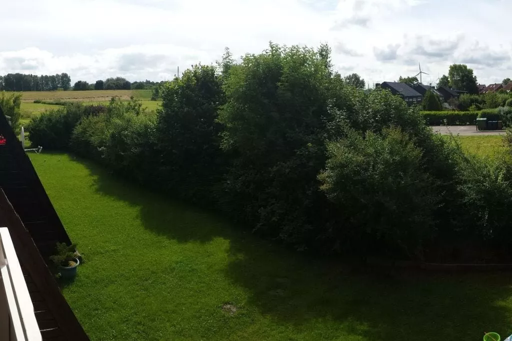 239782-Gardens summer