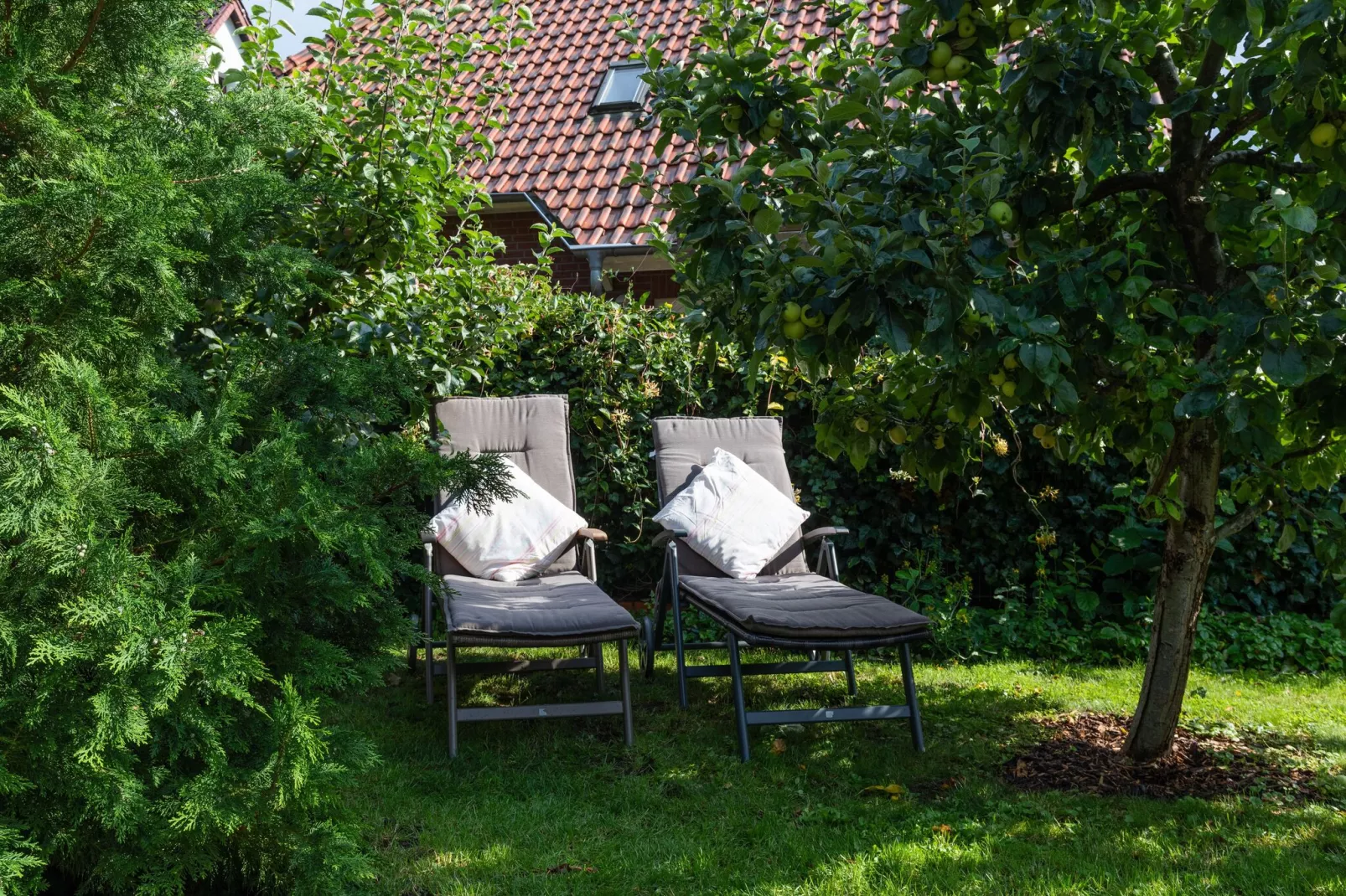 Ferienhaus mit Garten und Terrasse vor Rostock/Warnemünde-Gardens summer
