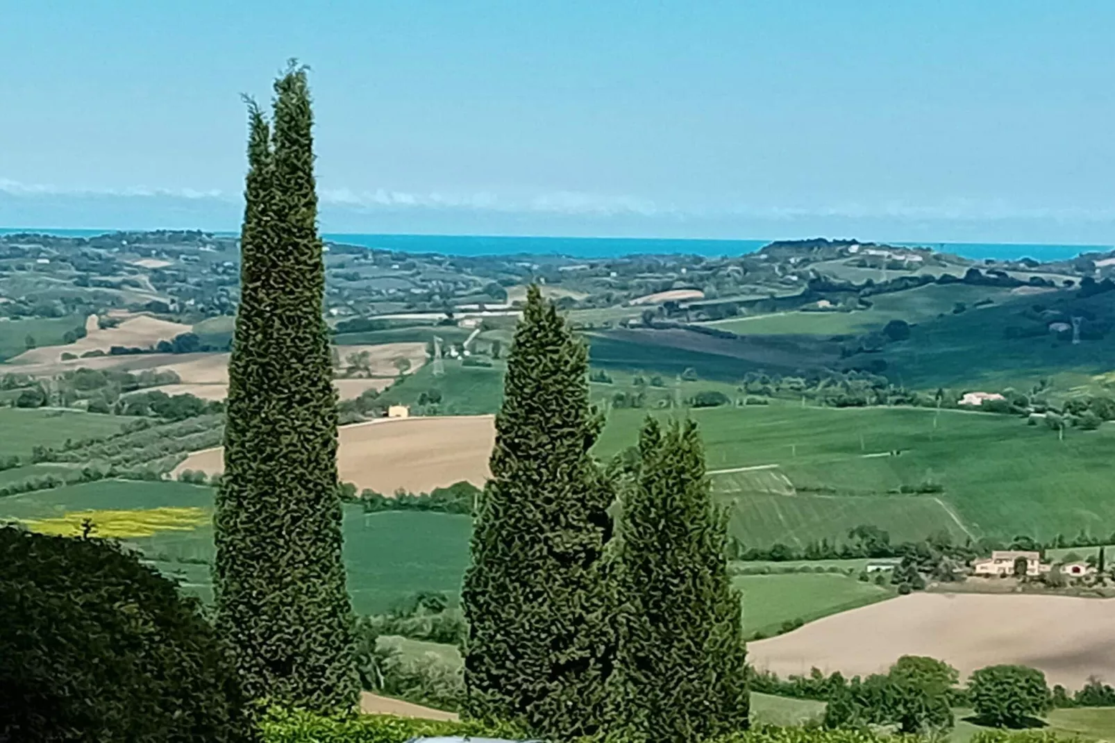 Rosa&Lavanda-View summer