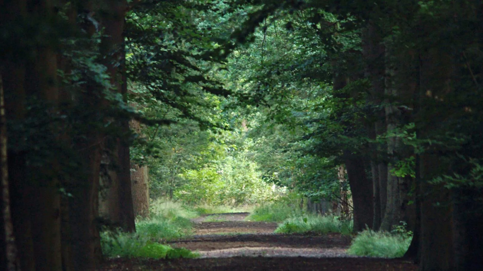 T Kaatsheuveltje 5-Areas summer 1km