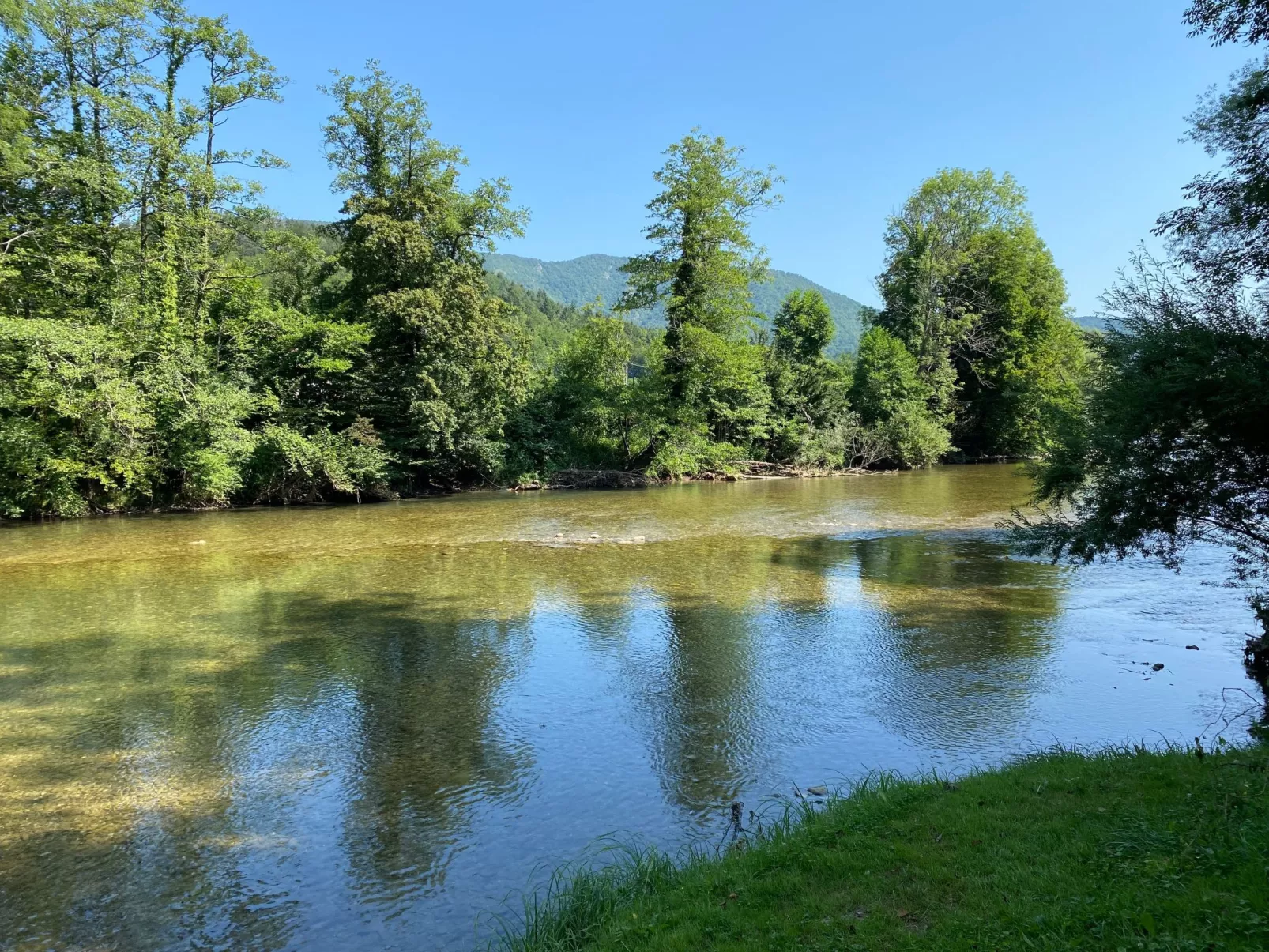 Božica-Area