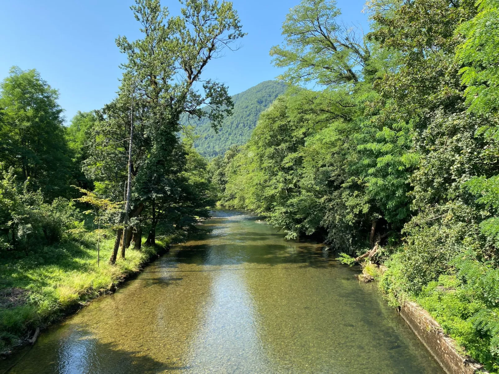 Božica-Area