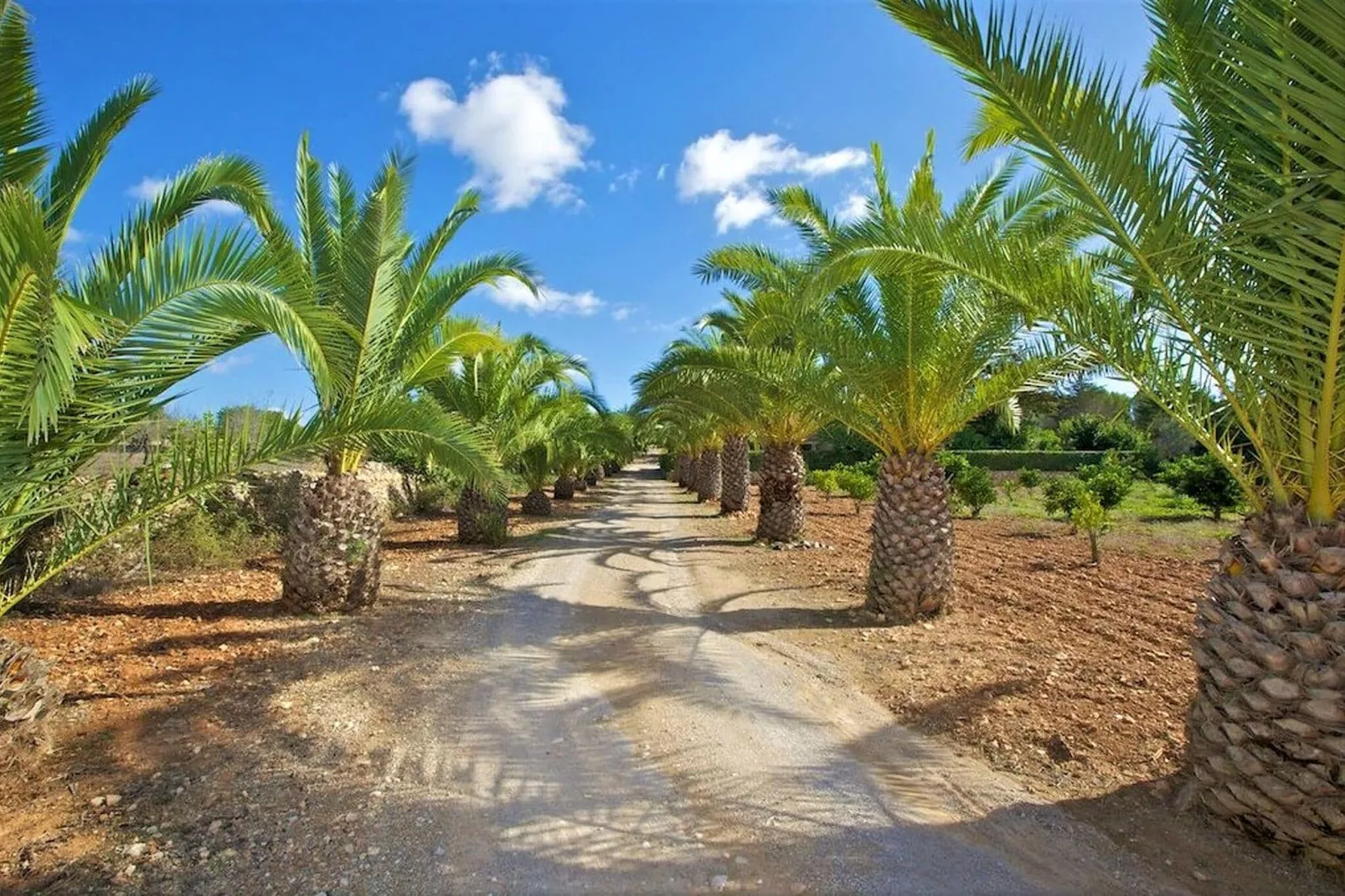 Villa Sa Torre - Es Pi-Gardens summer