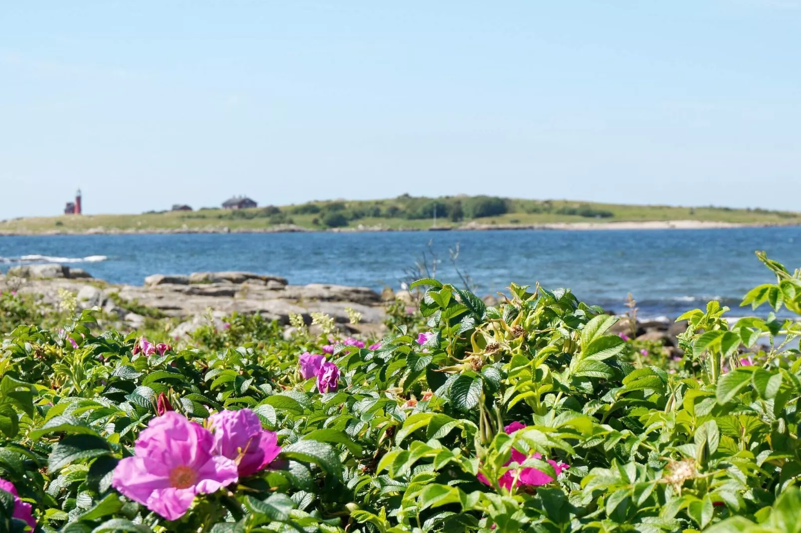 4 star holiday home in Halmstad-Not tagged