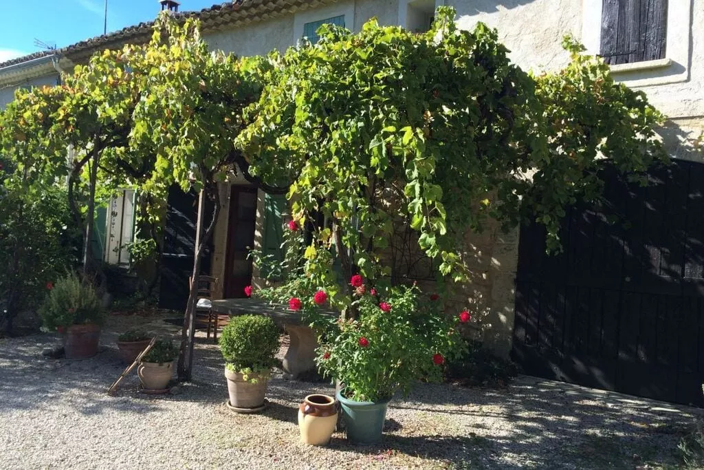 249010-Exterior summer