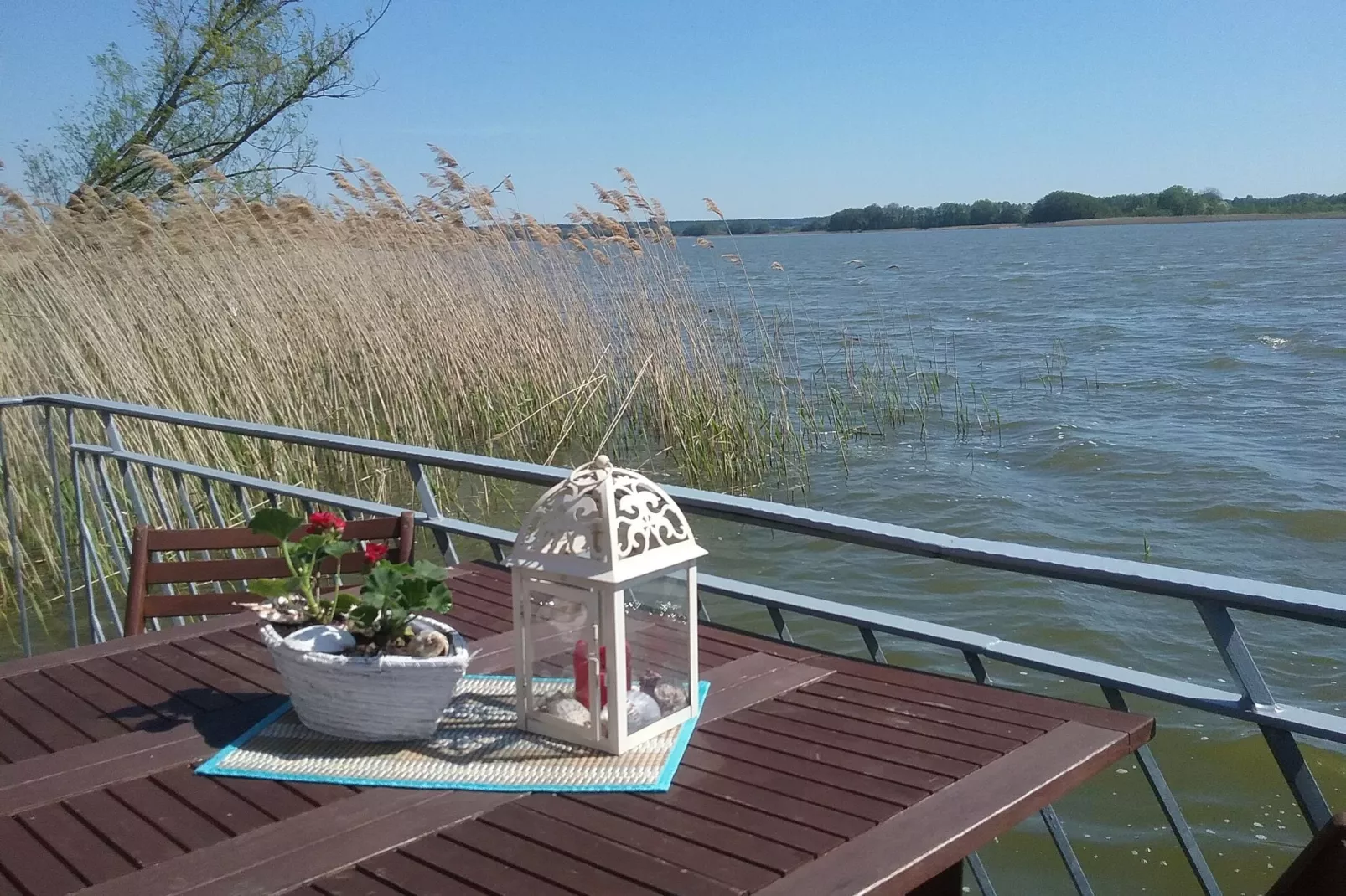 Bootshaus direkt am See mit eigenem Steg-View summer