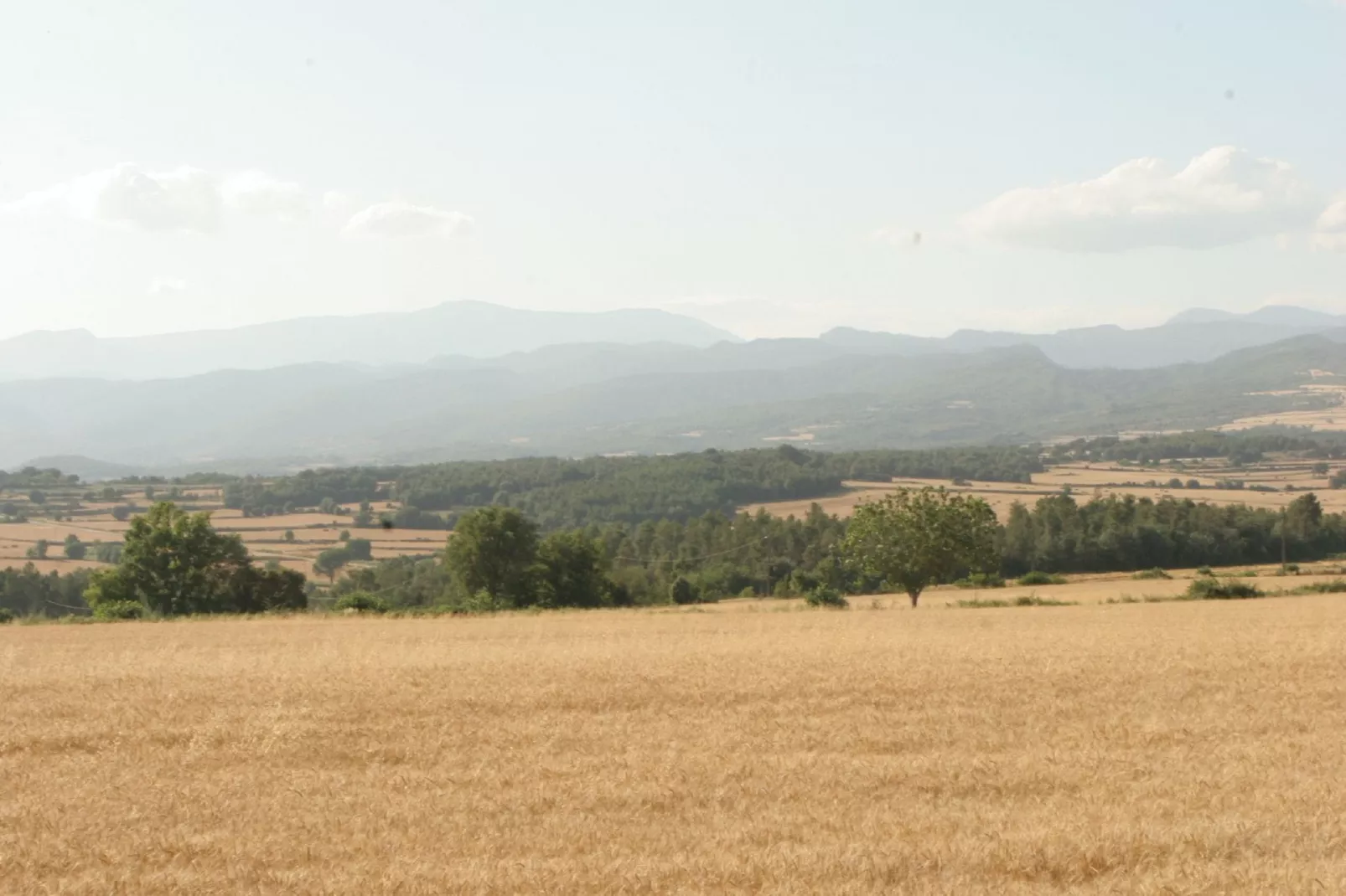 Can Guilella-Gebiete Sommer 20 km