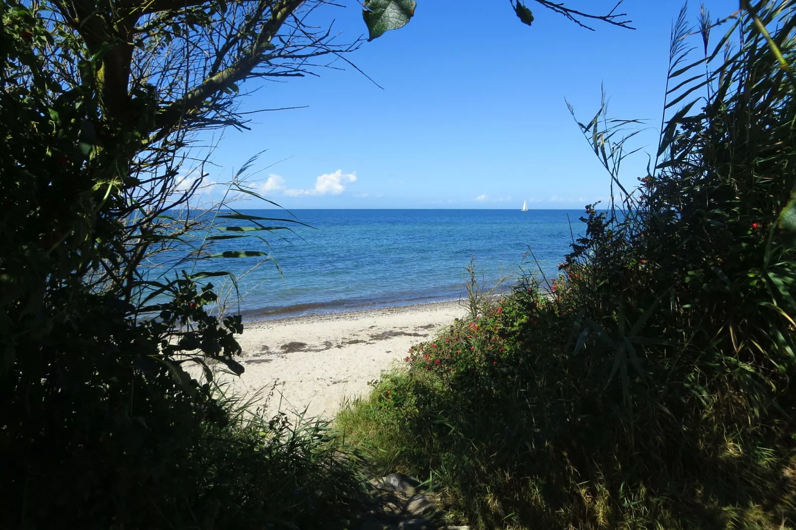 Sandkorn-Areas summer 5km