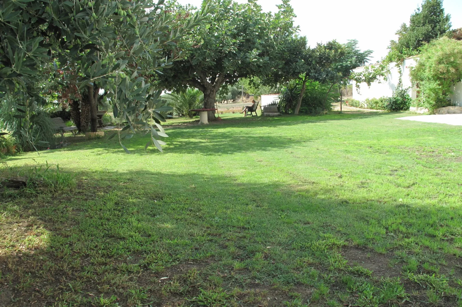 Can Teulera-Gardens summer