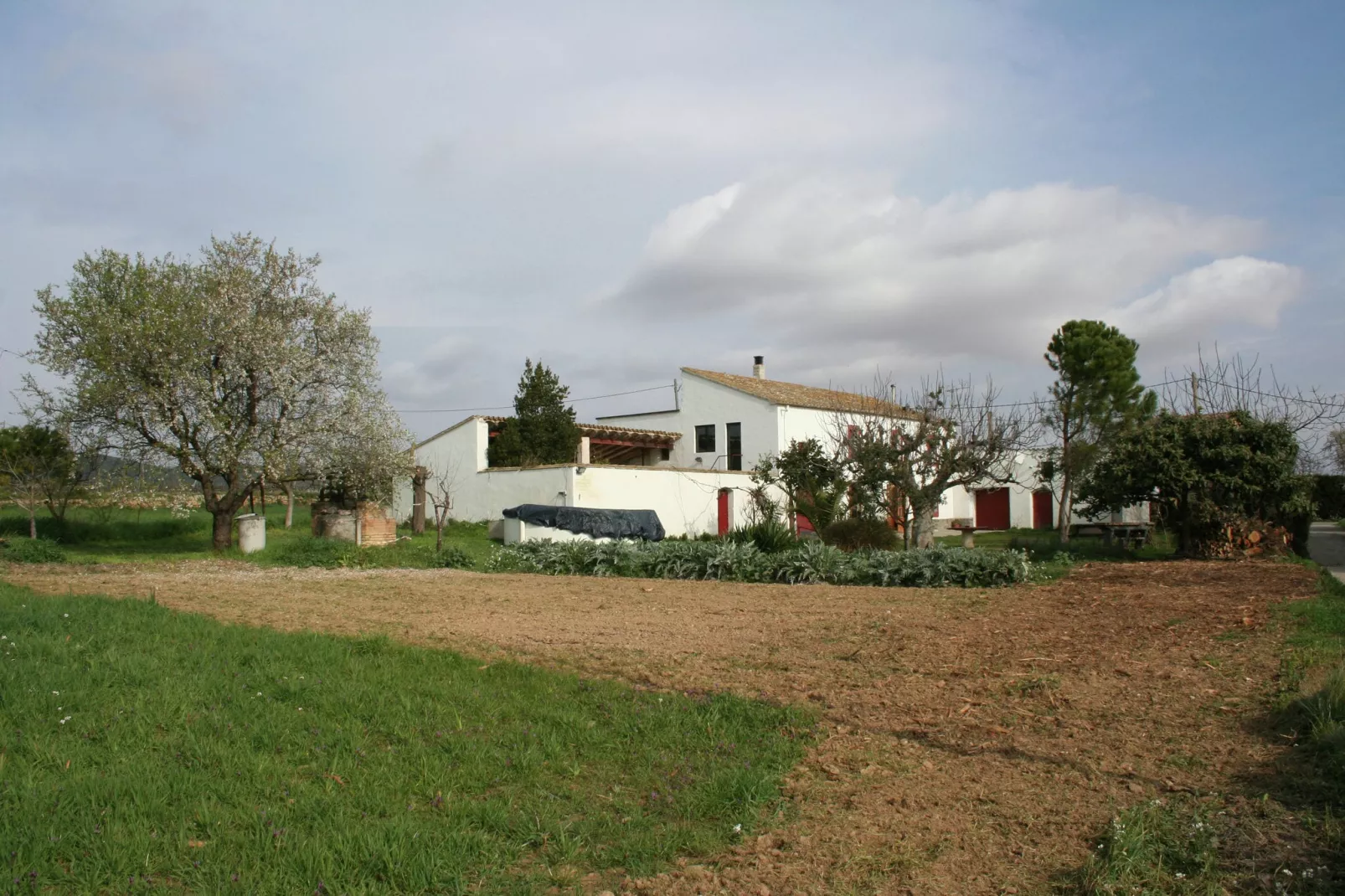 Can Teulera-Areas summer 1km