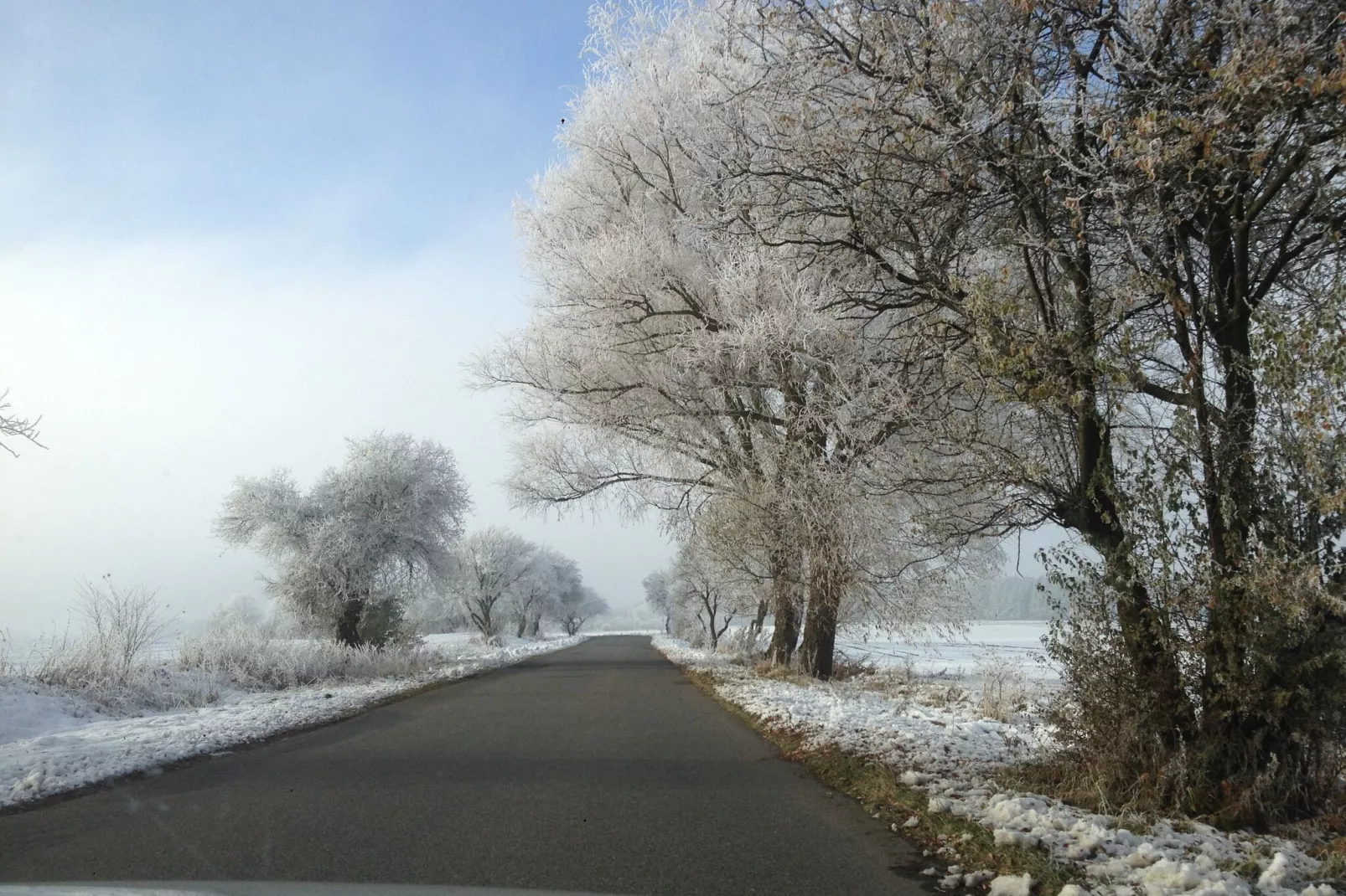 Sandkorn-Area winter 20km