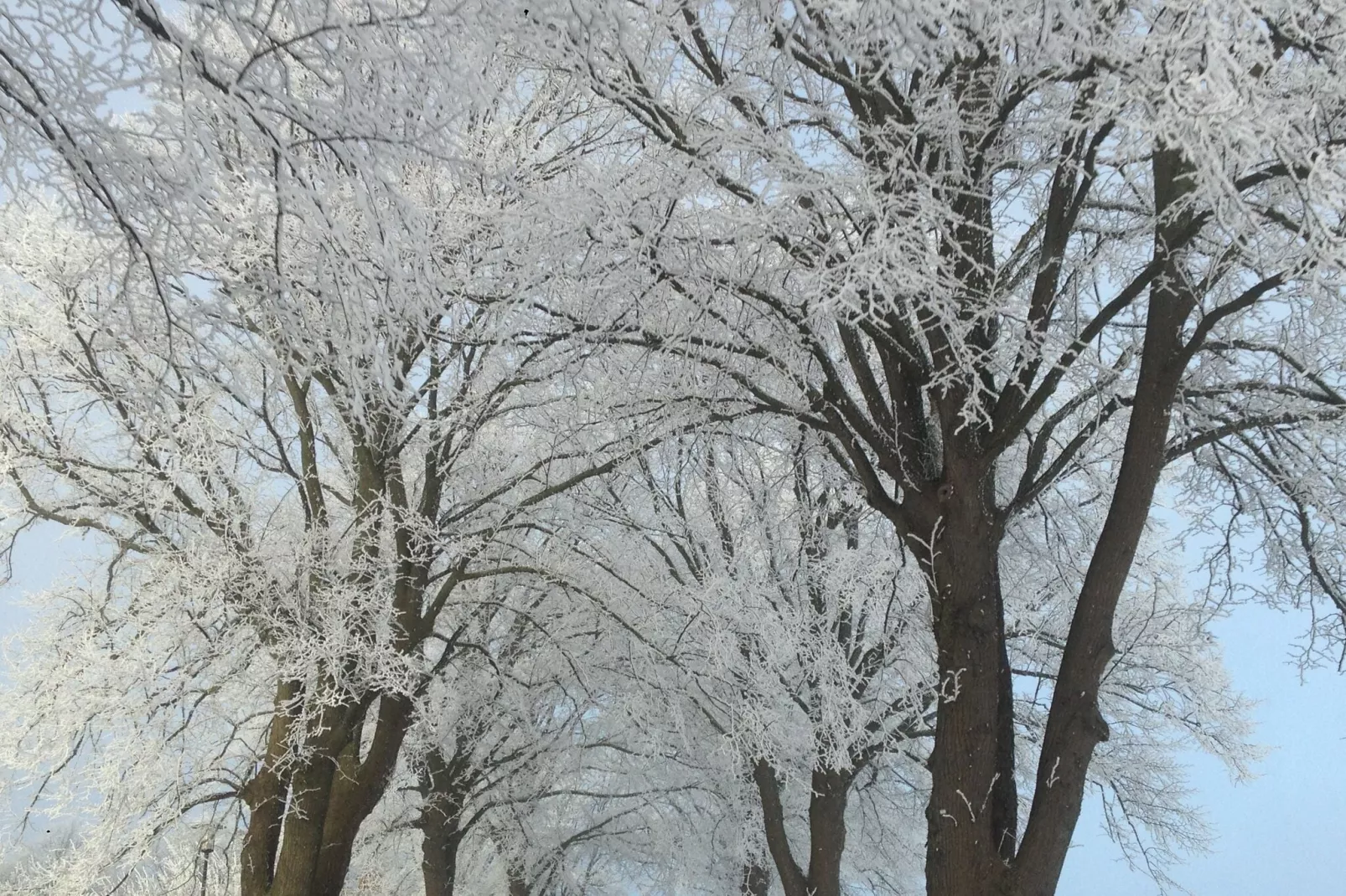 Sandkorn-Area winter 20km