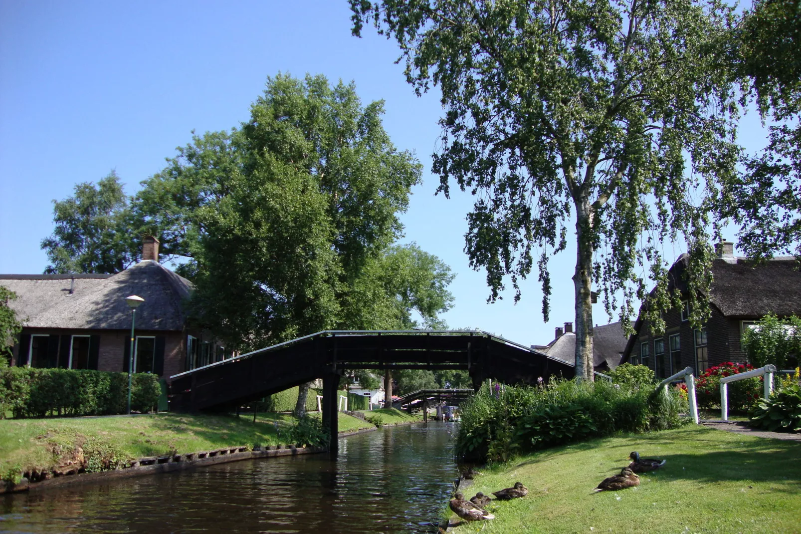 Residence De Eese 23-Areas summer 20km