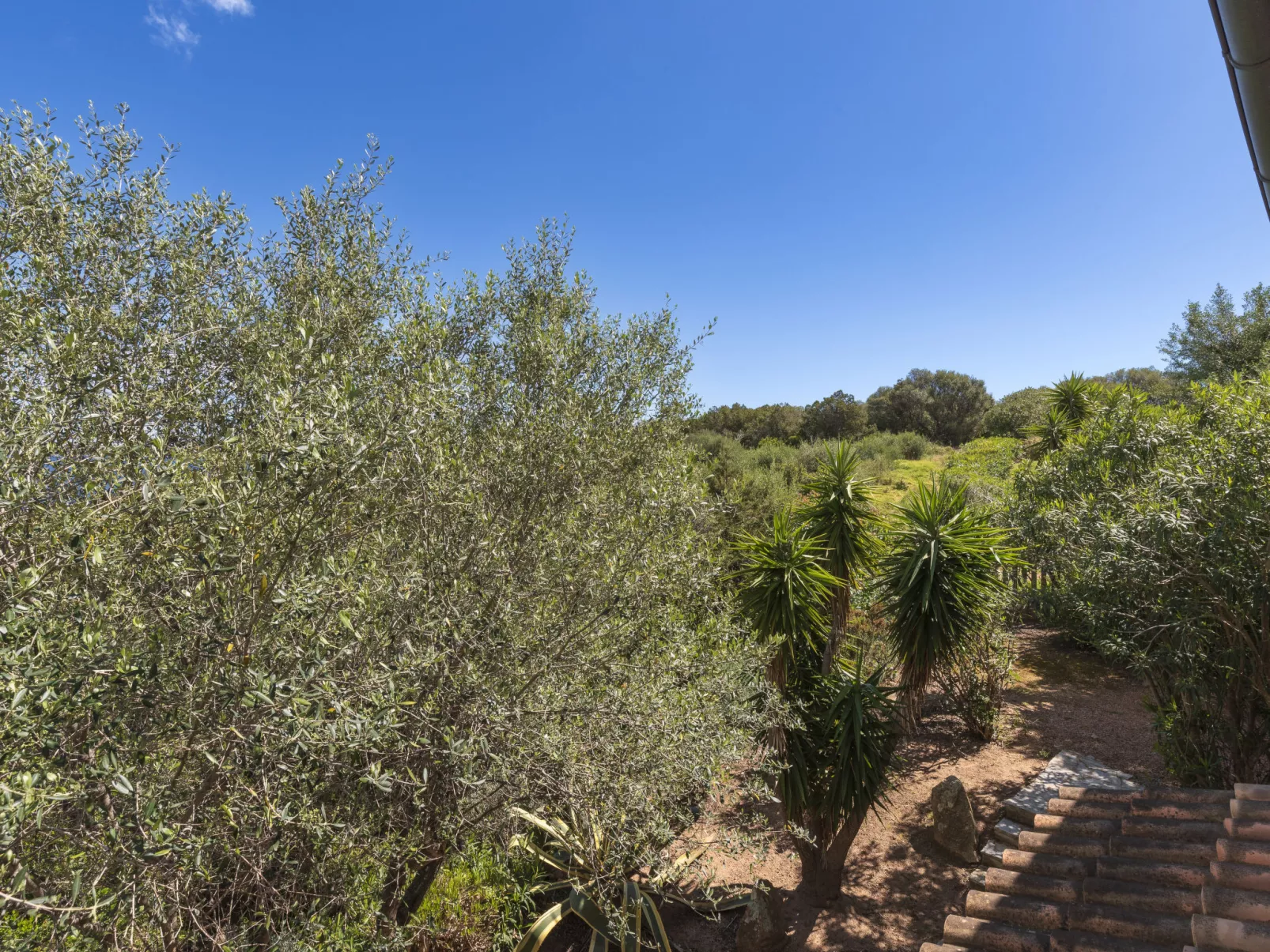 Villa Pavellone-Outside