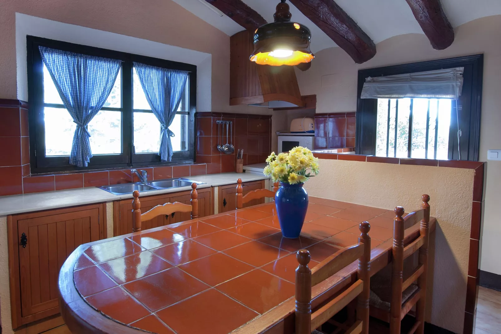 L'Olivera Dalt i Baix-Kitchen