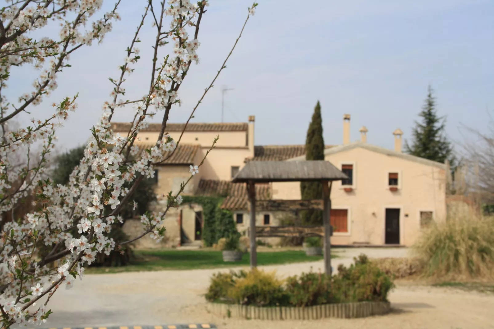 L'Olivera Dalt i Baix-Exterior summer