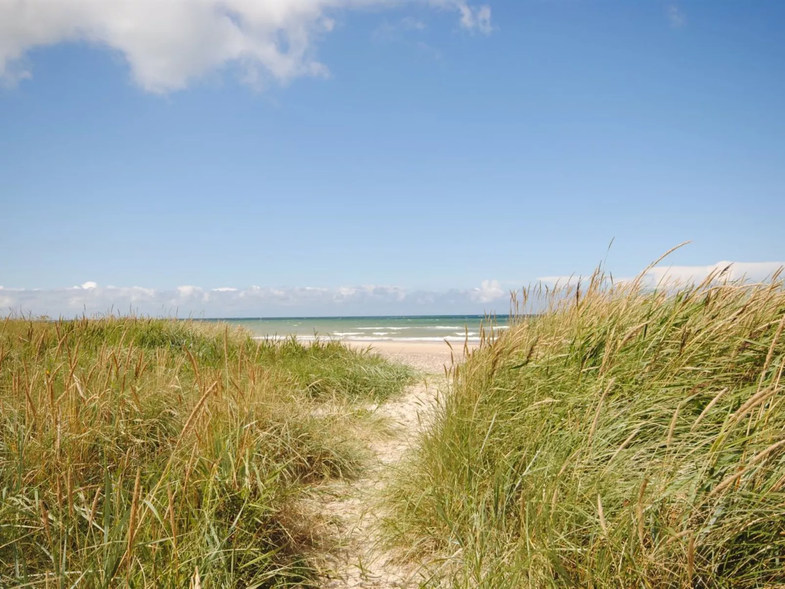 "Fredsine" - 900m from the sea-Outside