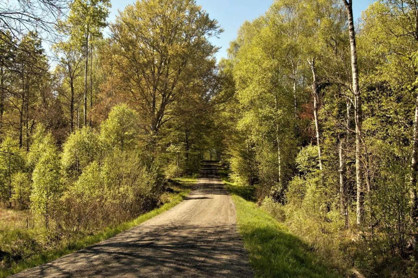 4 person holiday home in HOVMANTORP