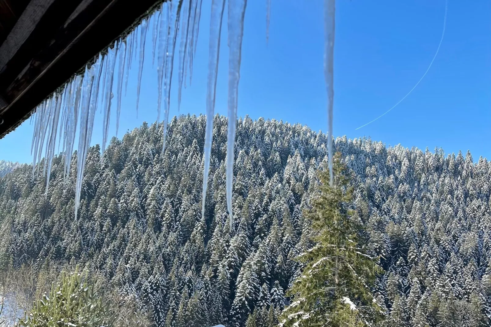Schwarzwald-View winter