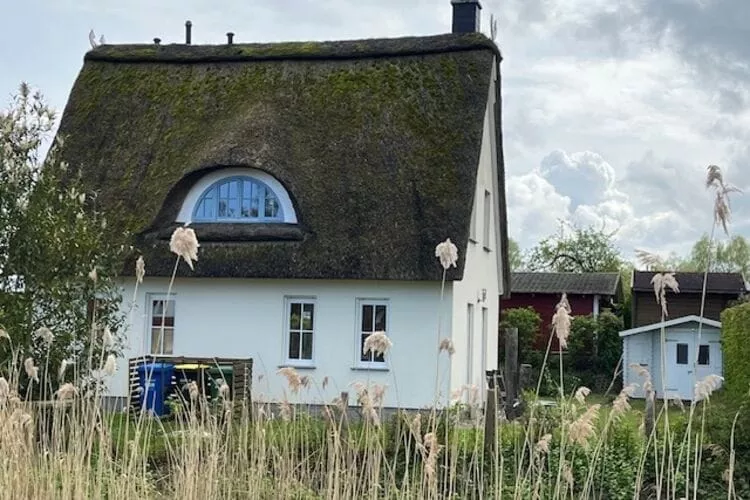 Ferienhaus Reetglück Wohlenberg-Exterior summer