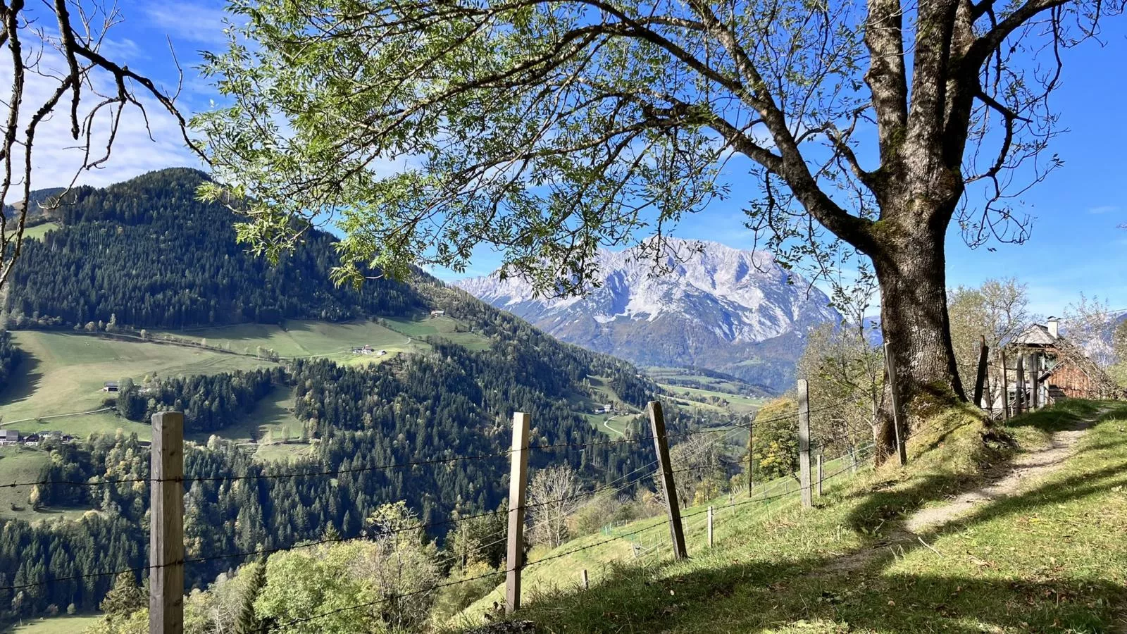 Ahorn Mountainlodge-Areas summer 5km