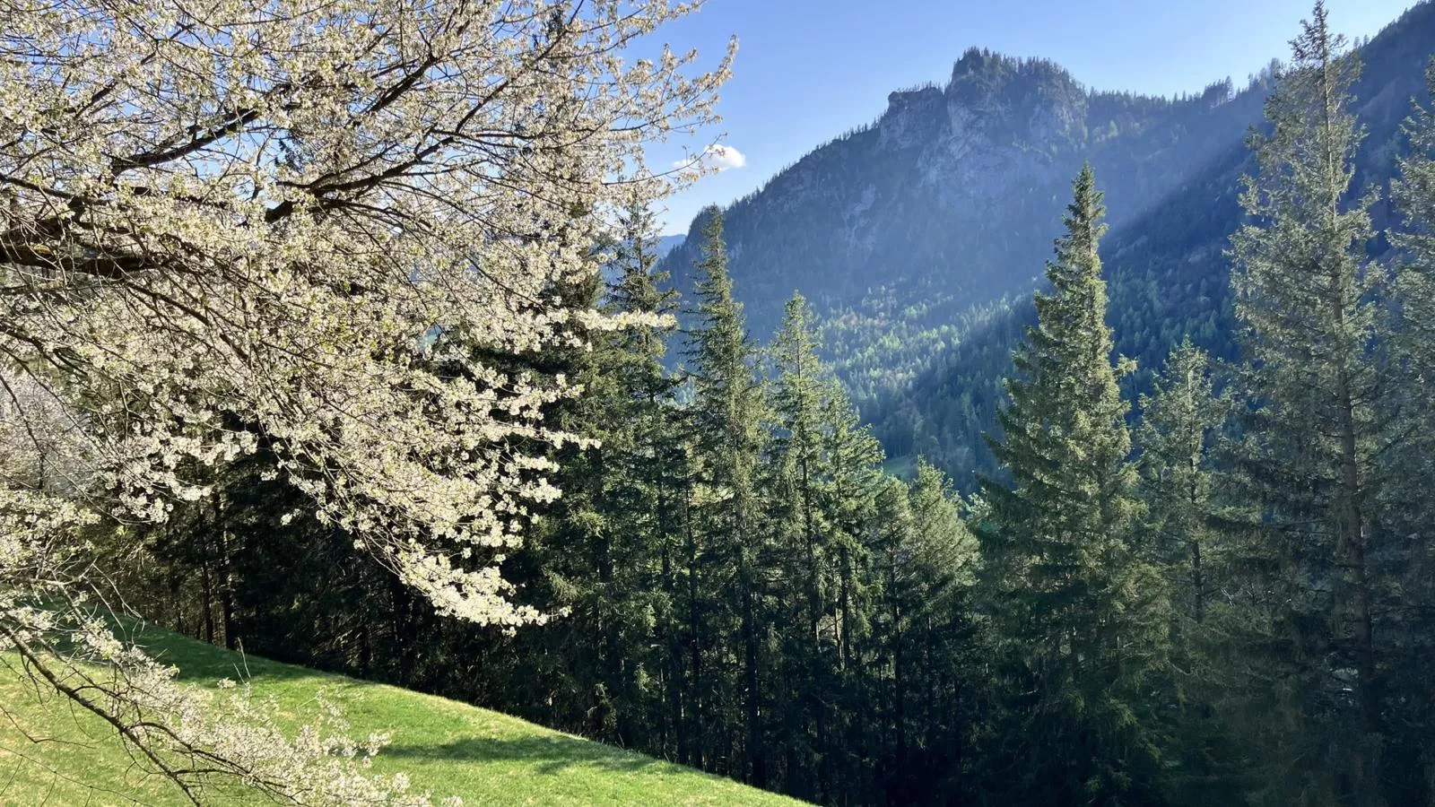 Ahorn Mountainlodge-Areas summer 5km