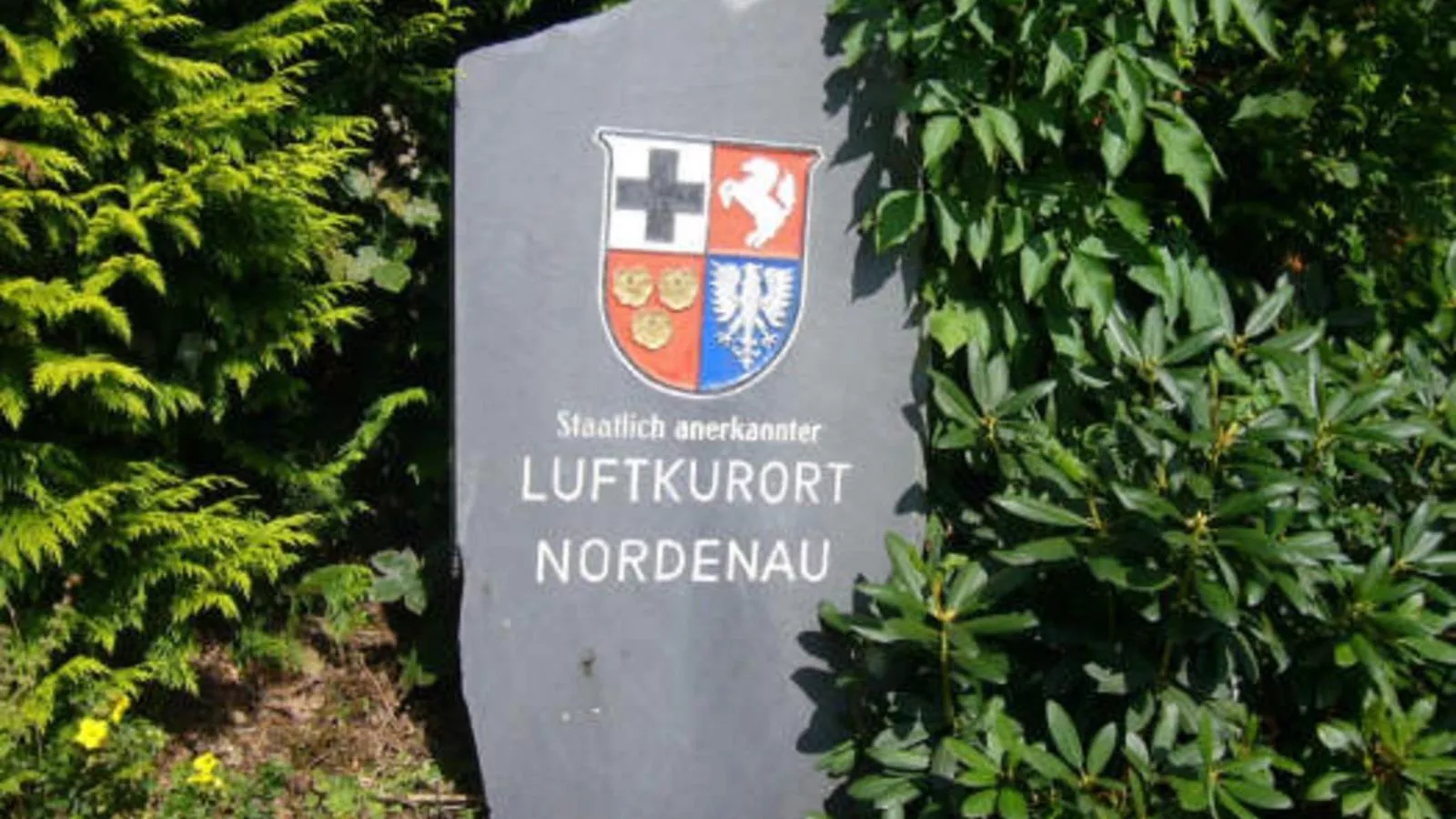 Kurhaus am Nordenau-Areas summer 1km