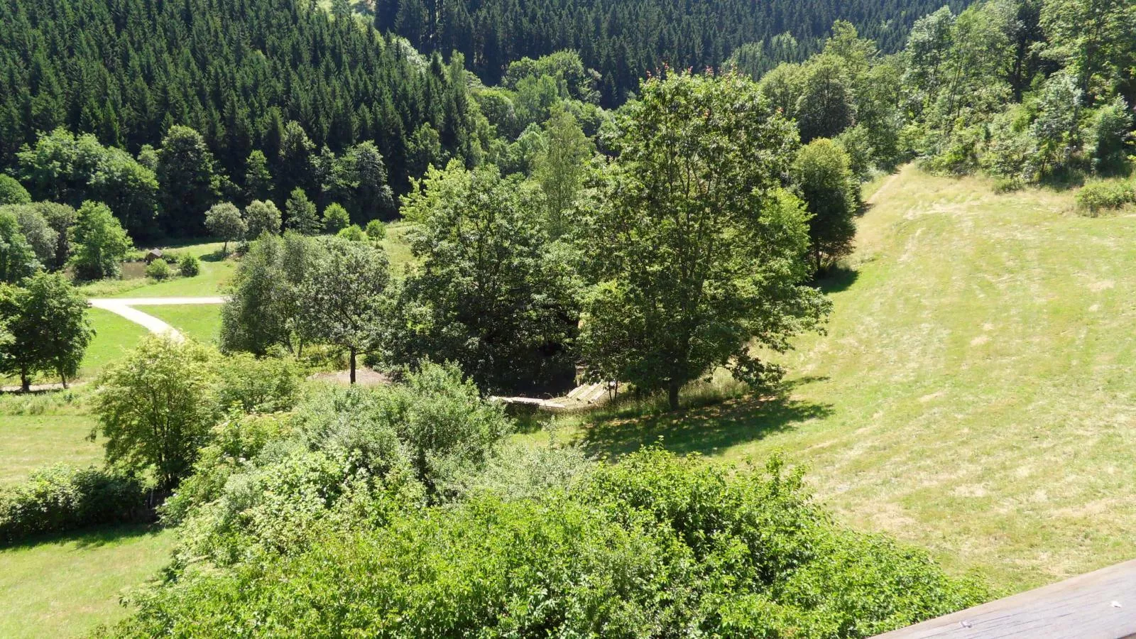 Kurhaus am Nordenau - 10 pers-View summer