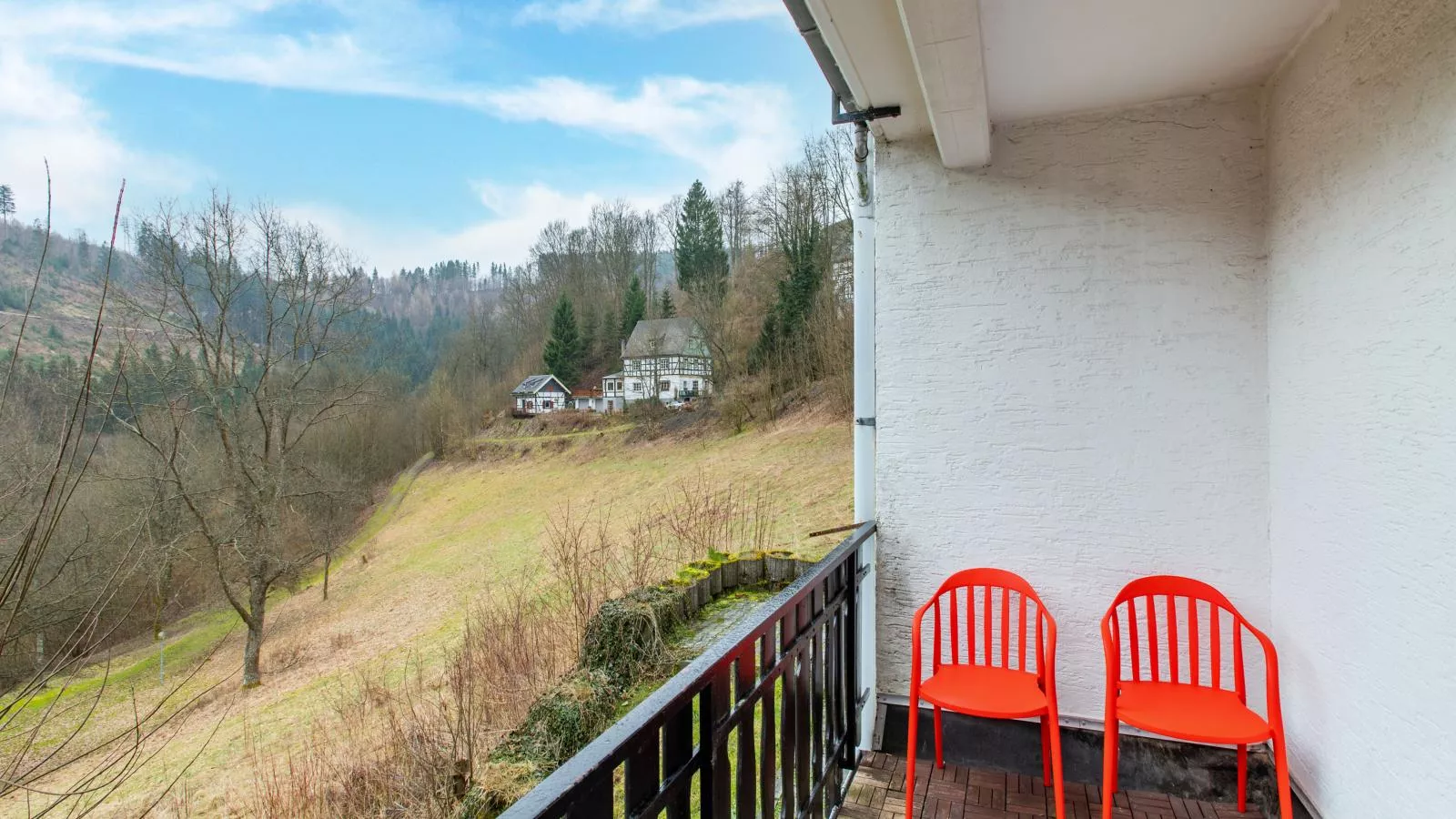 Kurhaus am Nordenau - 10 pers-Terrace balcony