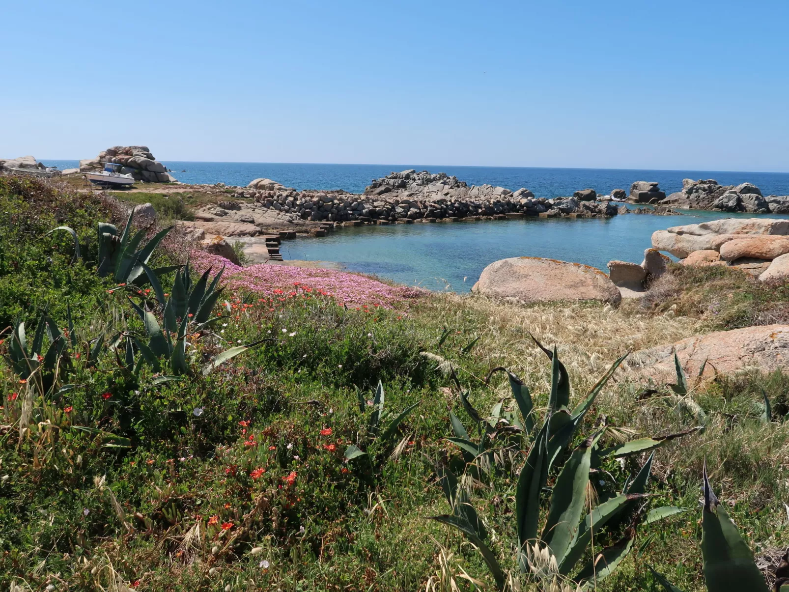 Cagnulari-Area