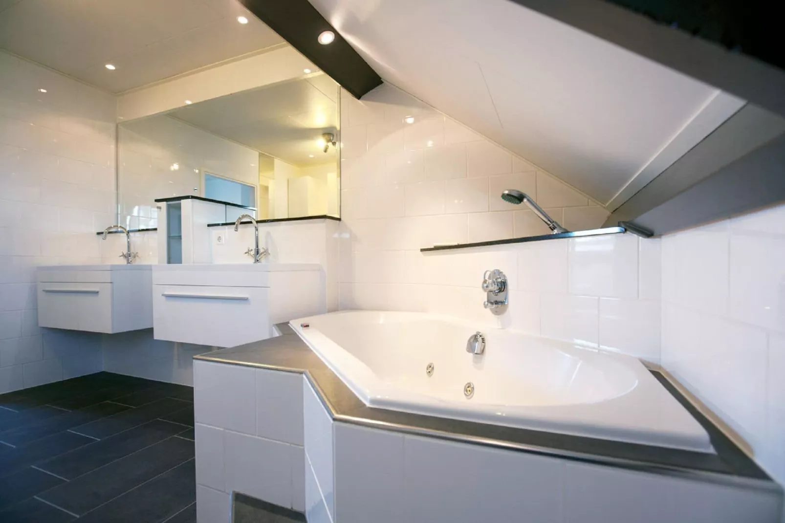 Vakantiepark Eiland van Maurik 5-Bathroom