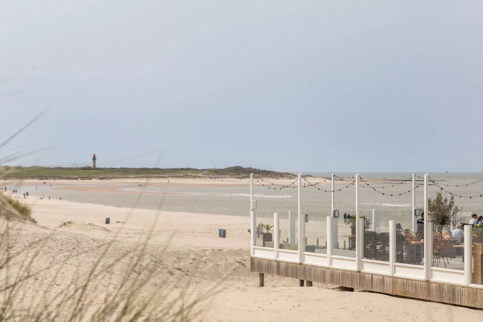 Vakantiehuis - Lepelblad 97-Gebiete Sommer 1 km
