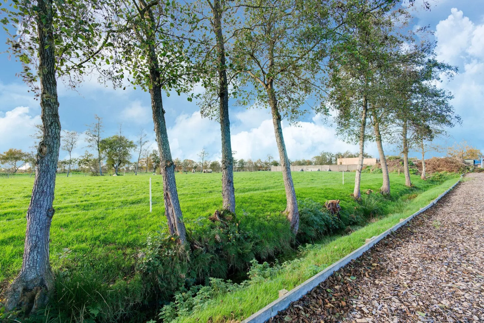 Heide State familie villa-Areas summer 1km