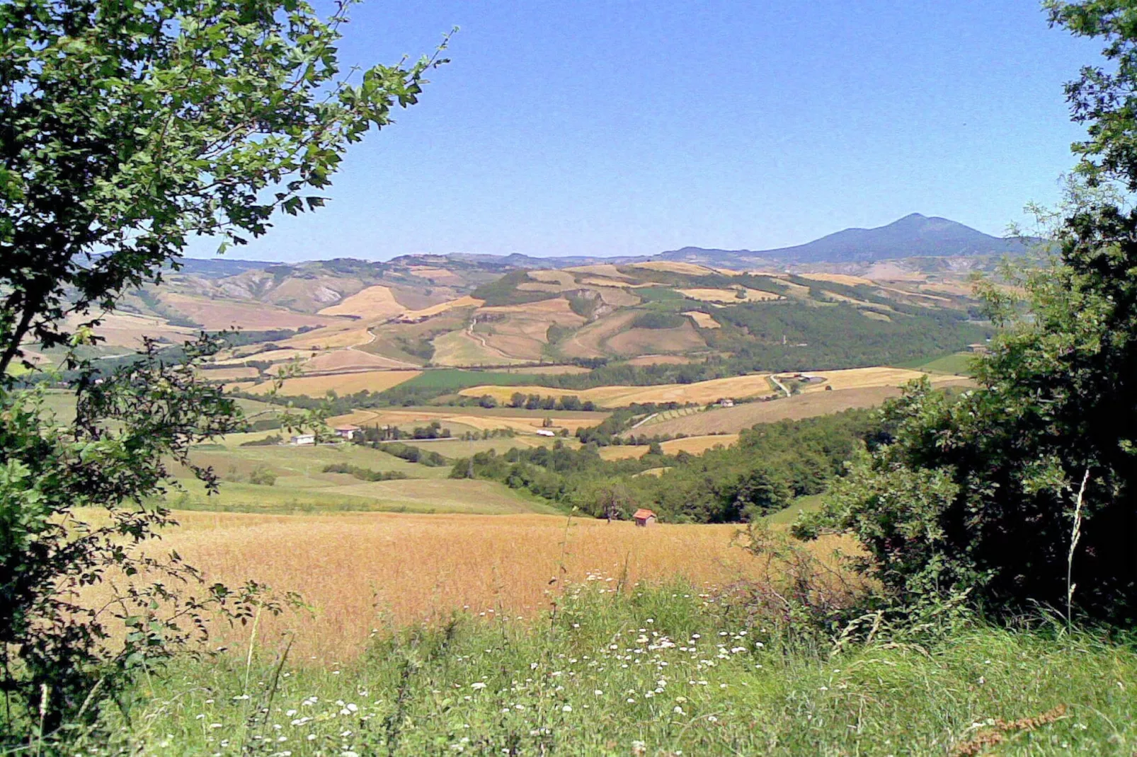 Sei Orcia-View summer